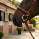 Full cheek snaffle bit fitted on horse bridle