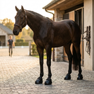 Horse wearing hoof boots in the stable yard
