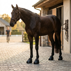Horse wearing hoof boots in the stable yard