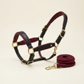 Black leather horse halter with bordeaux padding and brass hardware with matching lead rope